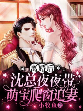 离婚后,沈总夜夜带萌宝爬窗追妻