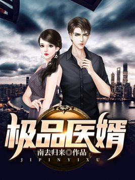极品医婿