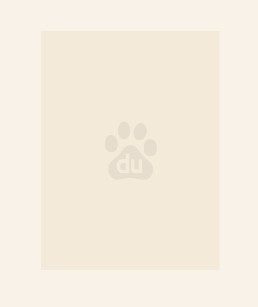 我做男公关的那几年