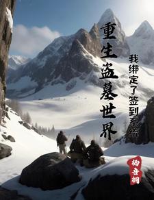 重生盗墓世界：我绑定了签到系统