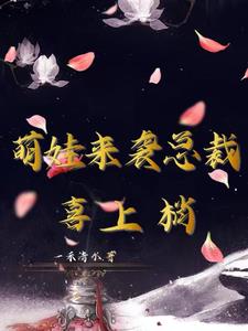 萌娃来袭总裁喜上眉梢