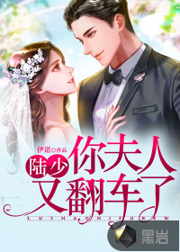 陆少,你夫人又翻车了